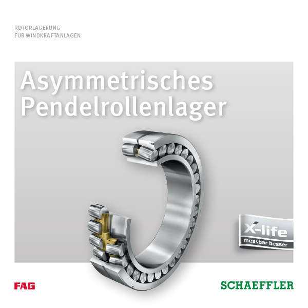Asymmetrisches Pendelrollenlager